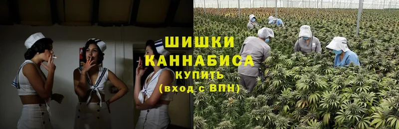 darknet состав  закладки  Яровое  Бошки марихуана White Widow 